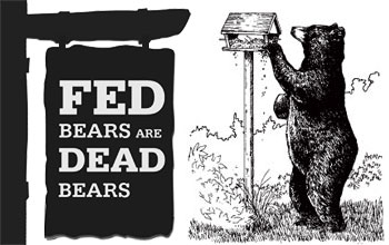 A fed bear is a dead bear